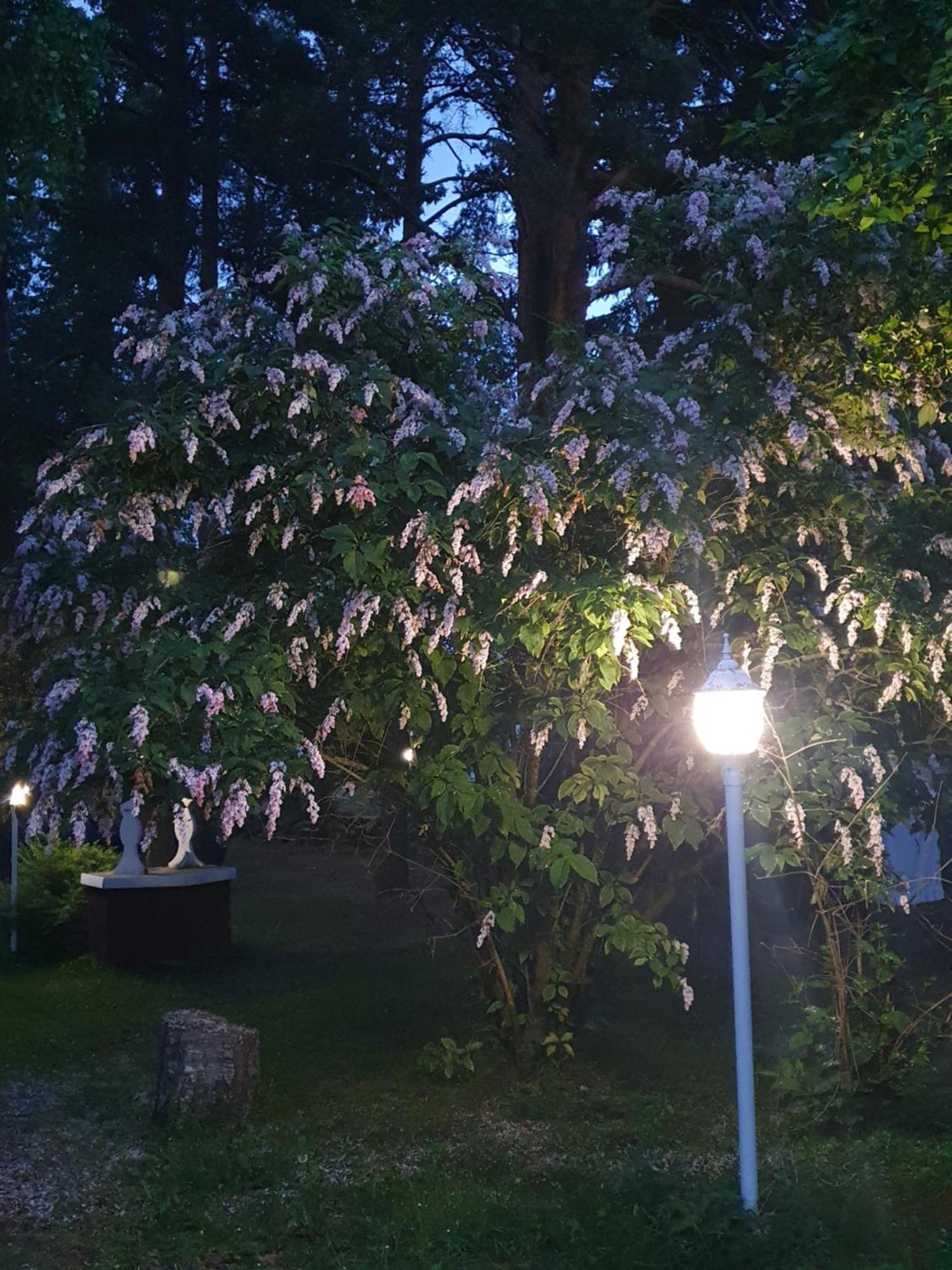 בית הארחה Seinäjoki 	Siirilaen Tila מראה חיצוני תמונה
